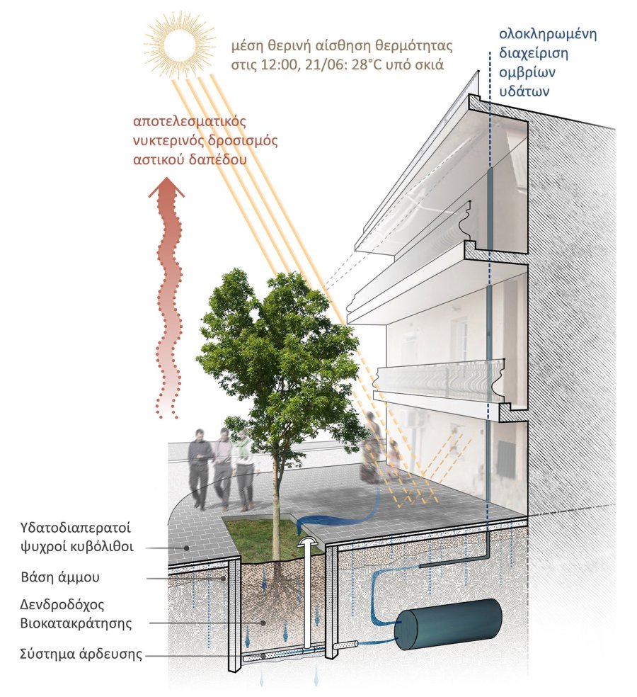 Functional and Aesthetic Upgrade